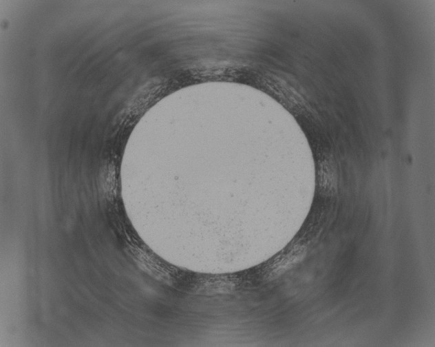 X0000074930820200609081323