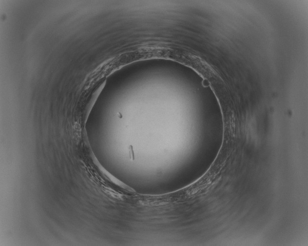 X0000074930821200609081323