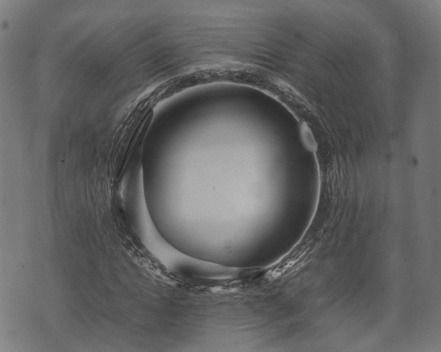 X0000074930822200609081323