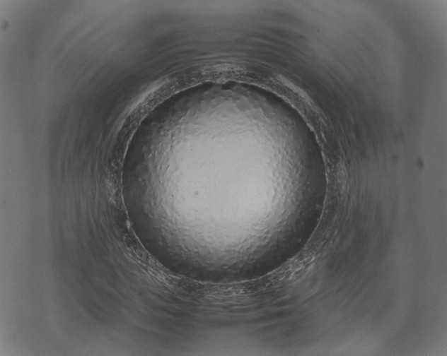 X0000074930823200609081323