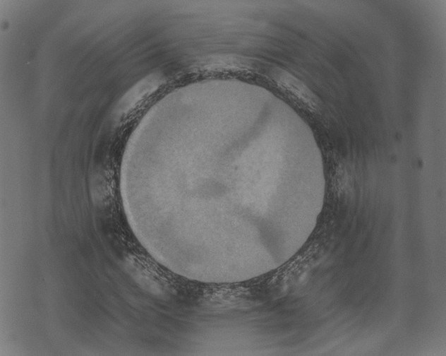 X0000074930824200609081323