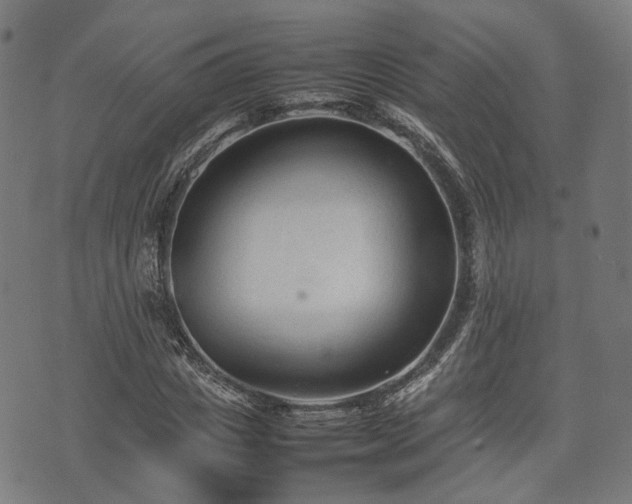 X0000074930825200609081323