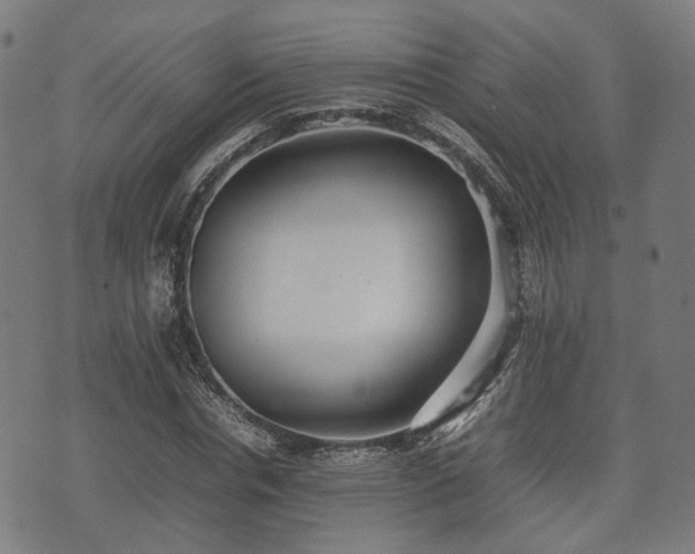 X0000074930826200609081323