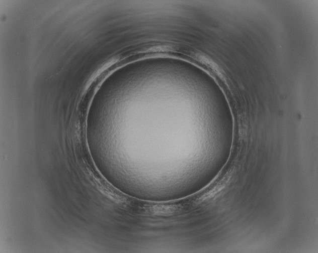 X0000074930827200609081323