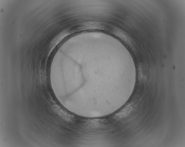 X0000074930828200609081323