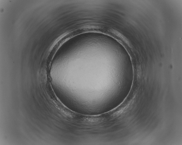 X0000074930829200609081323