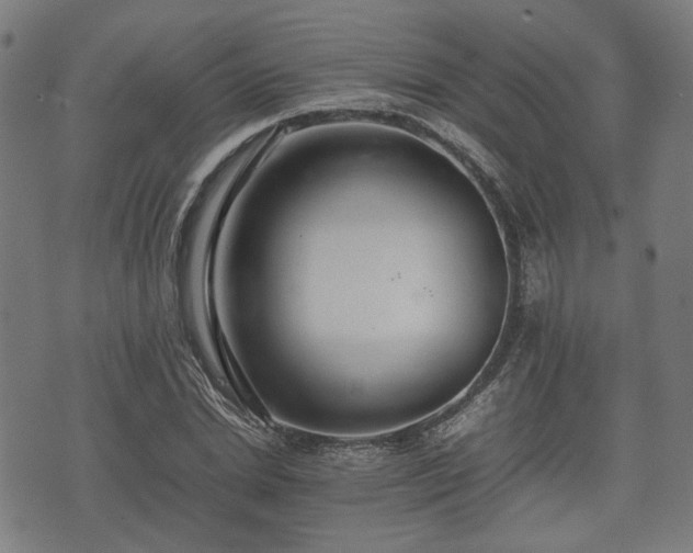 X0000074930830200609081323