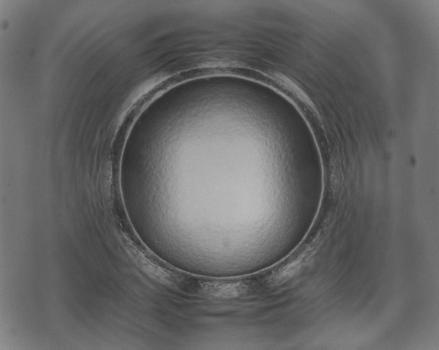 X0000074930831200609081323