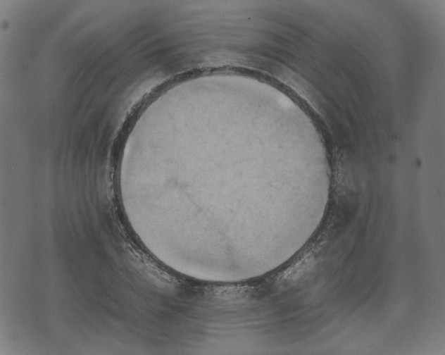 X0000074930832200609081323