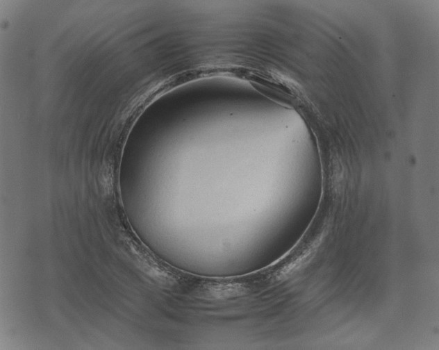 X0000074930833200609081324