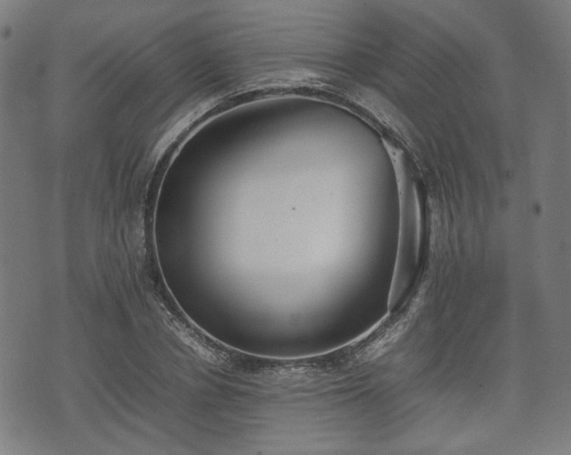 X0000074930834200609081324