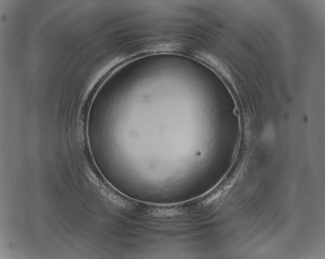 X0000074930835200609081324