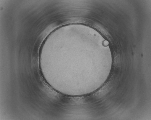 X0000074930836200609081324