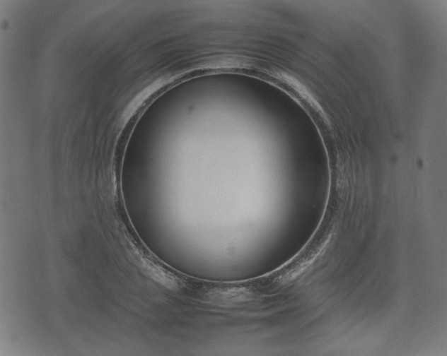 X0000074930837200609081324