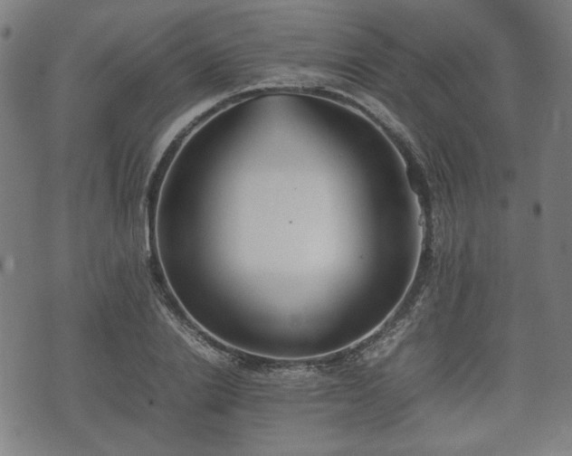 X0000074930838200609081324