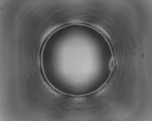 X0000074930839200609081324