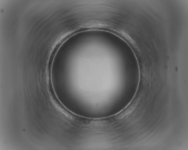 X0000074930840200609081324