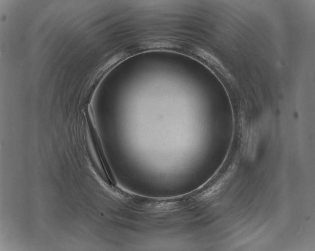 X0000074930841200609081324