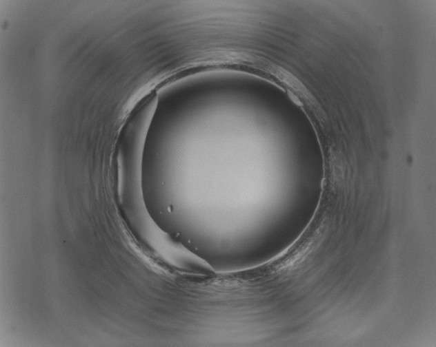 X0000074930842200609081324