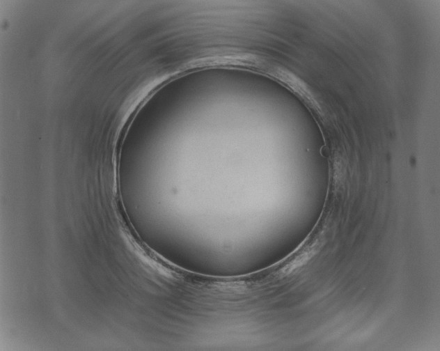 X0000074930844200609081324