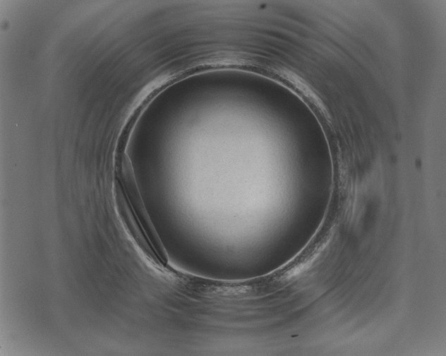 X0000074930845200609081324