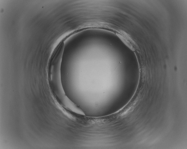 X0000074930846200609081324