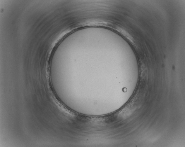 X0000074930848200609081324