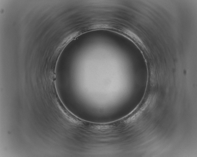 X0000074930849200609081324