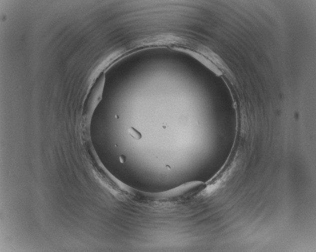 X0000074930850200609081324