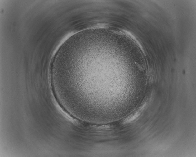 X0000074930851200609081324