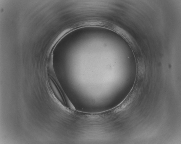 X0000074930852200609081324