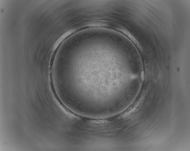 X0000074930853200609081324