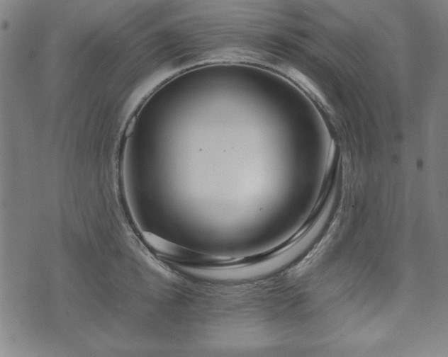 X0000074930854200609081324