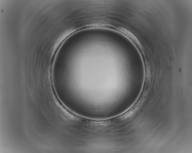 X0000074930855200609081324