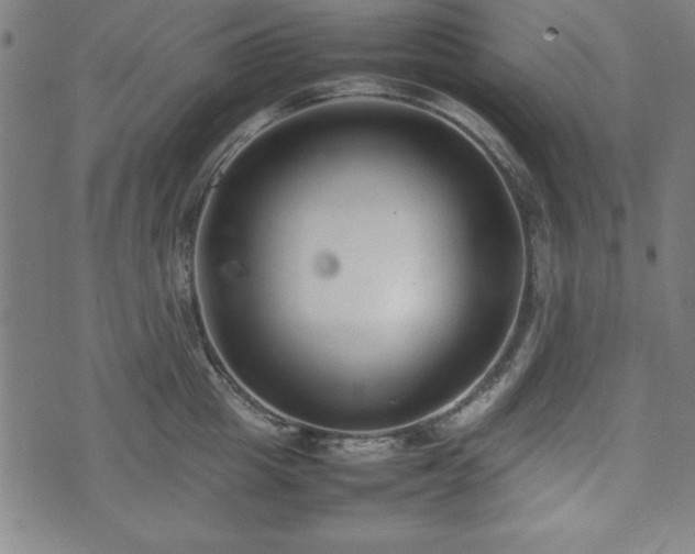 X0000074930857200609081324