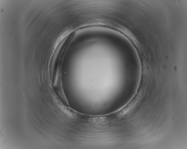 X0000074930858200609081324