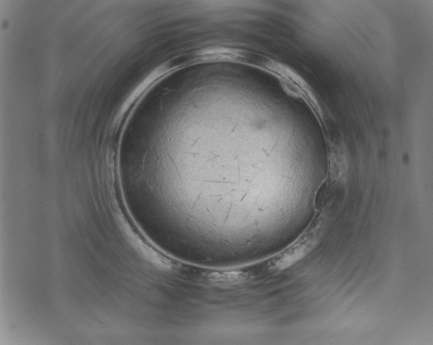 X0000074930859200609081324