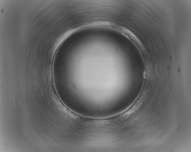 X0000074930860200609081324