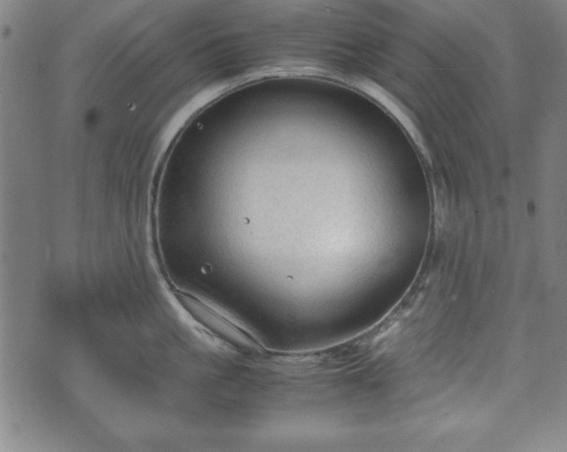 X0000074930861200609081324