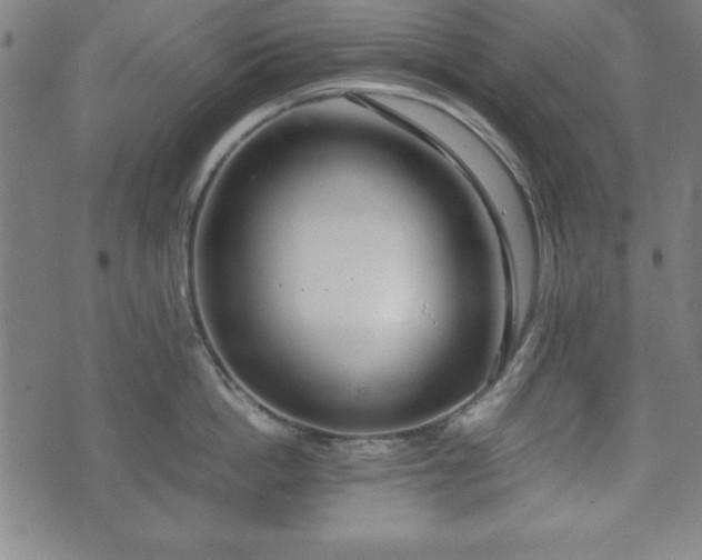 X0000074930862200609081324