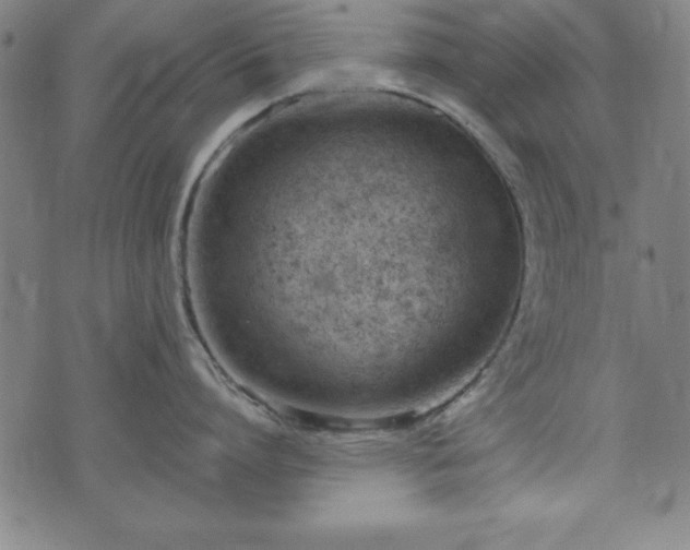 X0000074930864200609081324