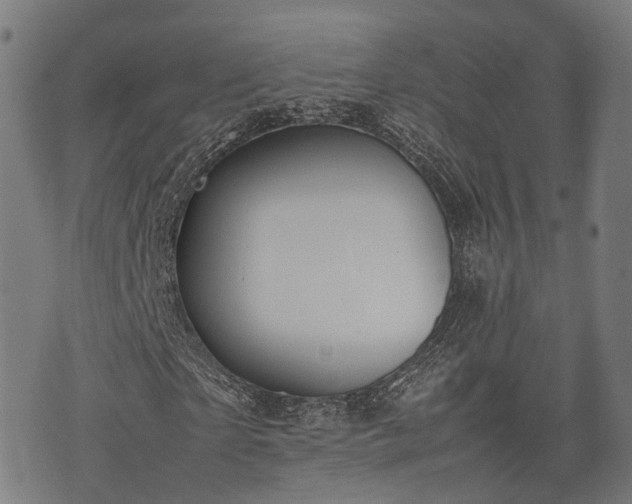 X0000074930865200609081323