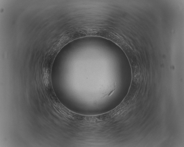 X0000074930866200609081323