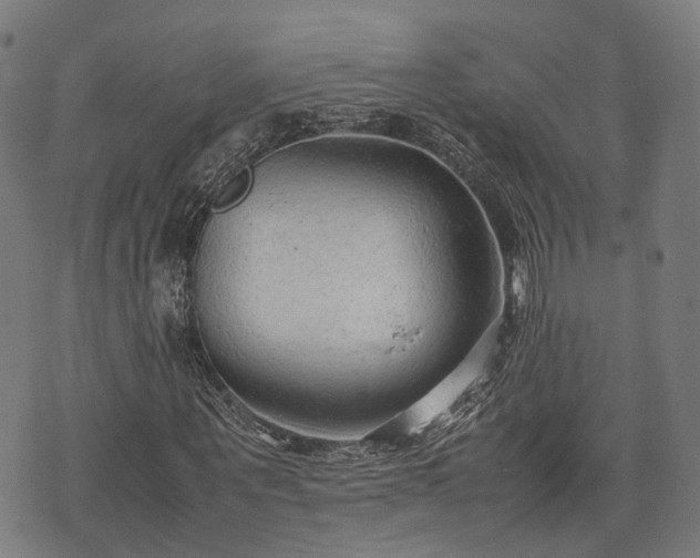 X0000074930867200609081323