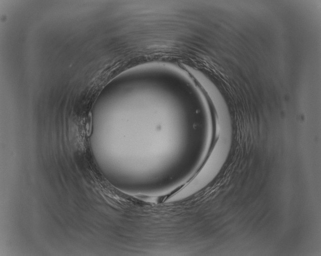 X0000074930868200609081323