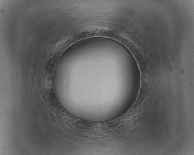 X0000074930869200609081323