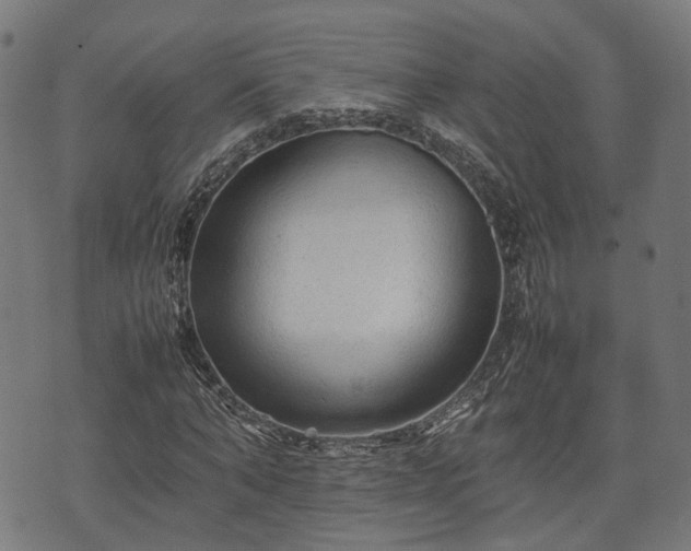 X0000074930870200609081323