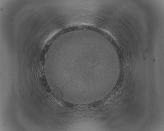 X0000074930871200609081323