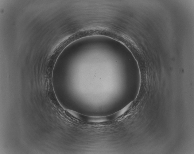 X0000074930872200609081323