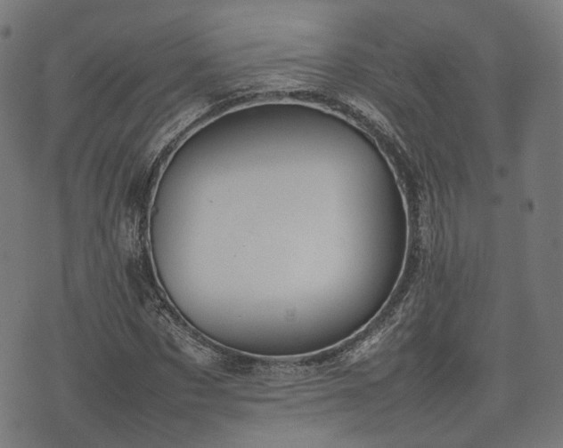 X0000074930873200609081323